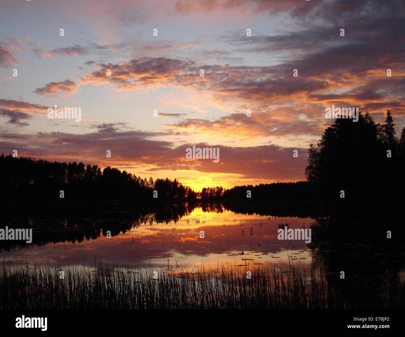 Lake in Finland Stock Photo