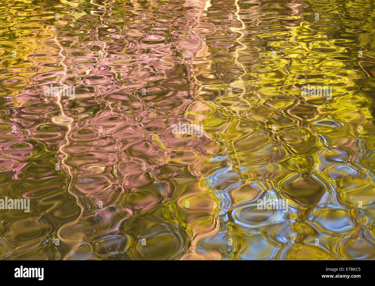 Spring colors in Pond Water Reflection Stock Photo