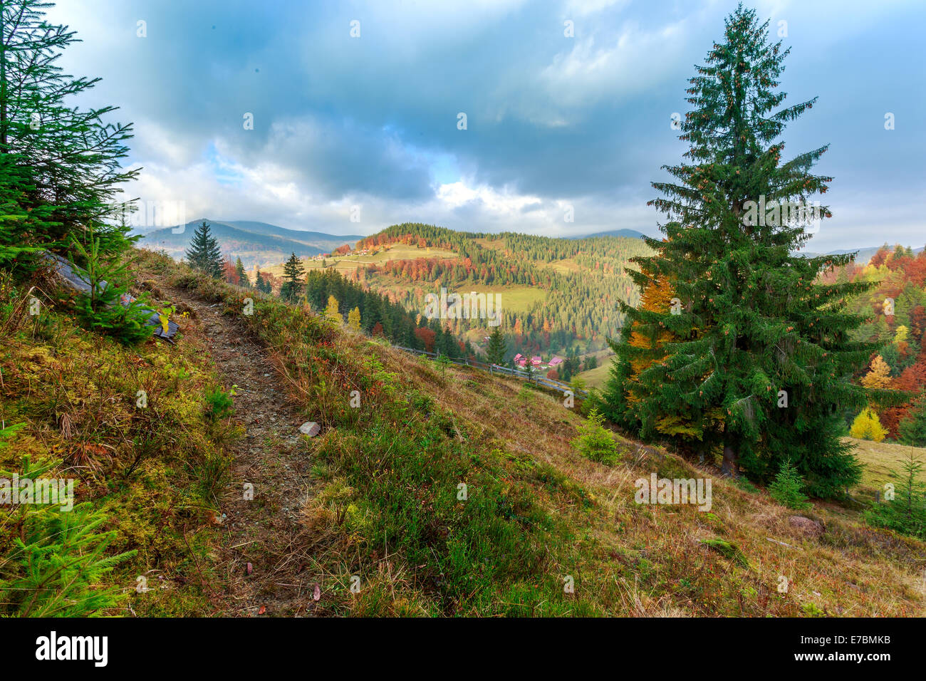 Foggy summer morning in the mountains. Carpathian, Romania Stock Photo ...