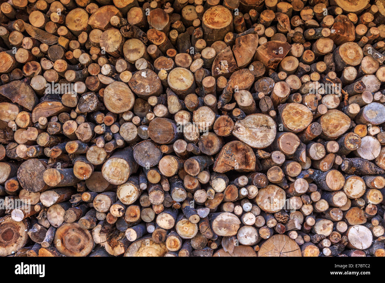 Chopped oak wood hi-res stock photography and images - Alamy
