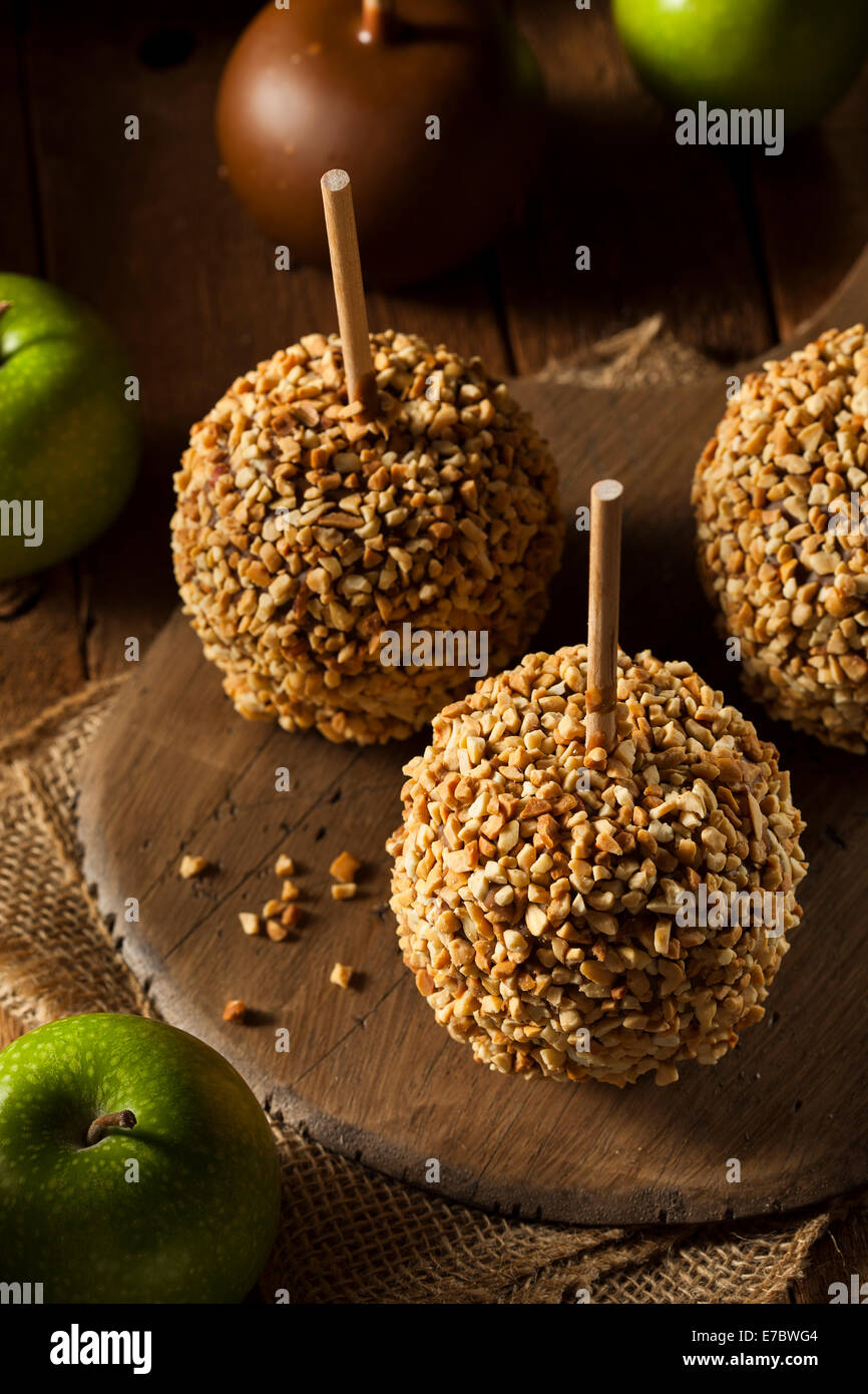 Homemade Taffy Apples with Peanuts on a Stick Stock Photo Alamy