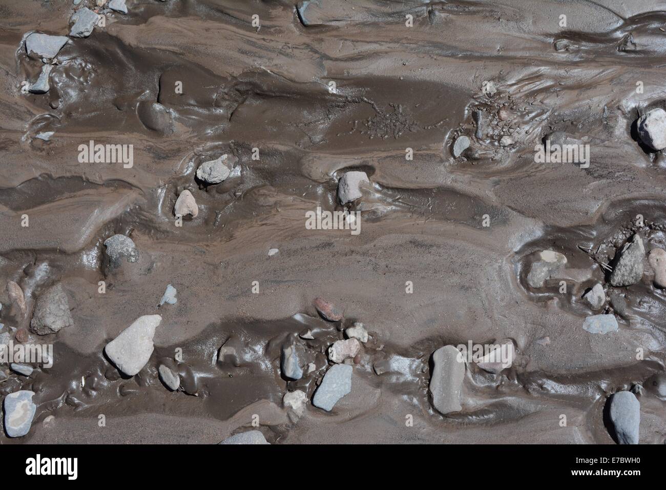 stones in mud on river Stock Photo - Alamy