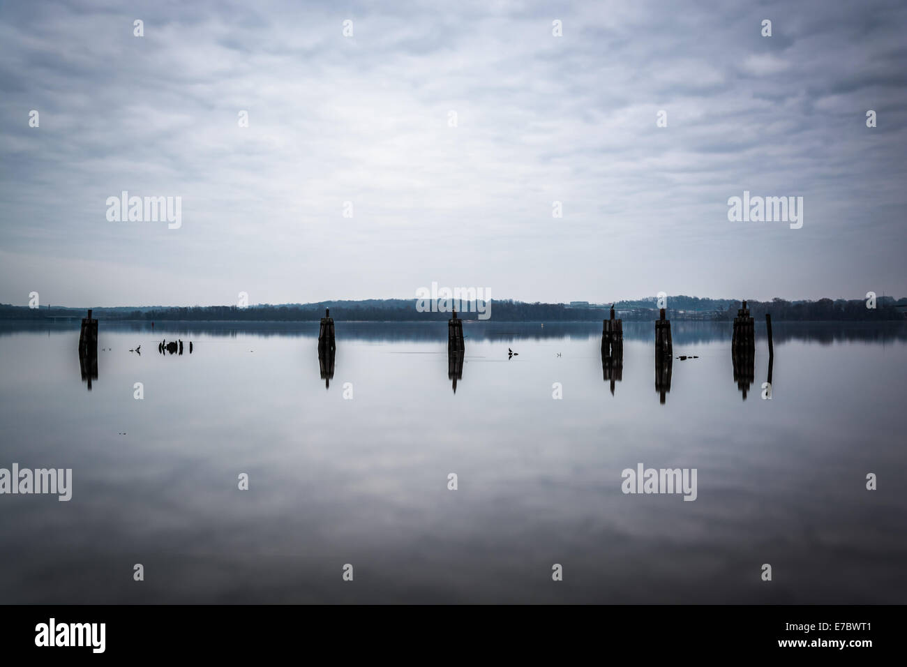 Pier pilings in the Potomac River, in Alexandria, Virginia. Stock Photo