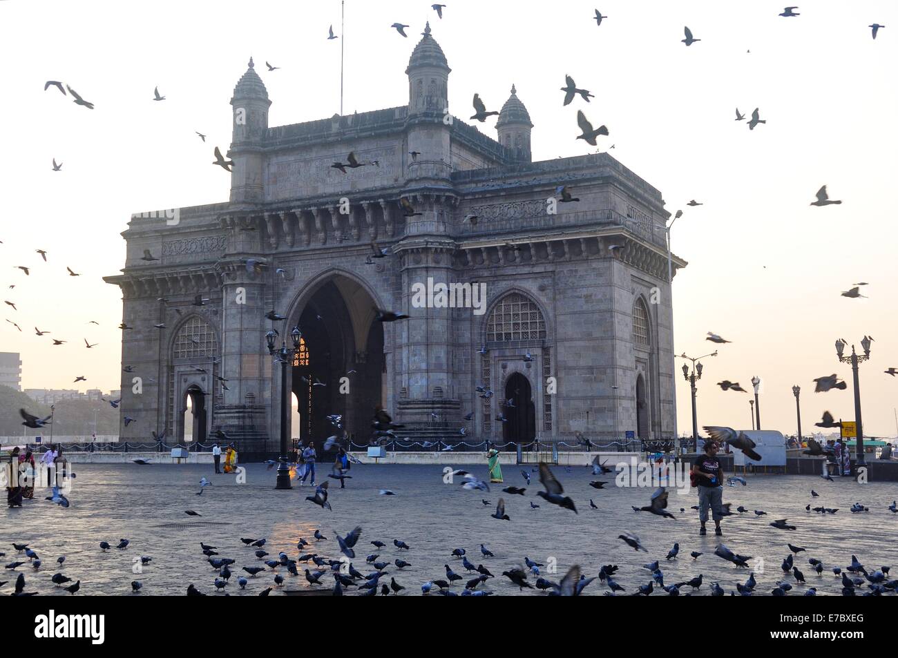 pigeons fluttering on the sqaure around the Gateway to India, Mumbai Stock Photo