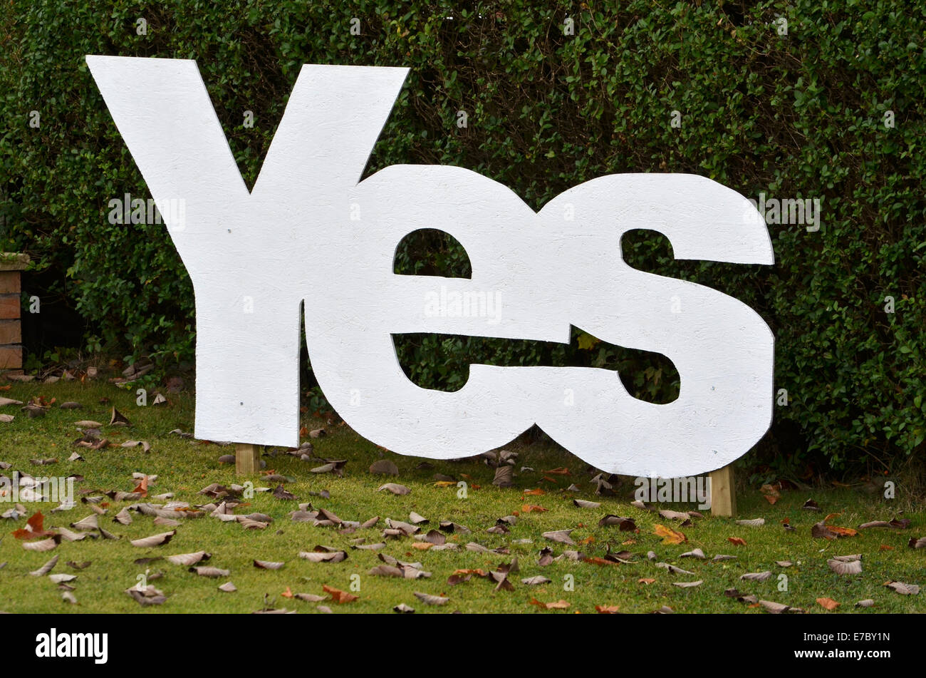 Very BIG YES for Independence in Scotland, a garden in Glasgow Stock Photo