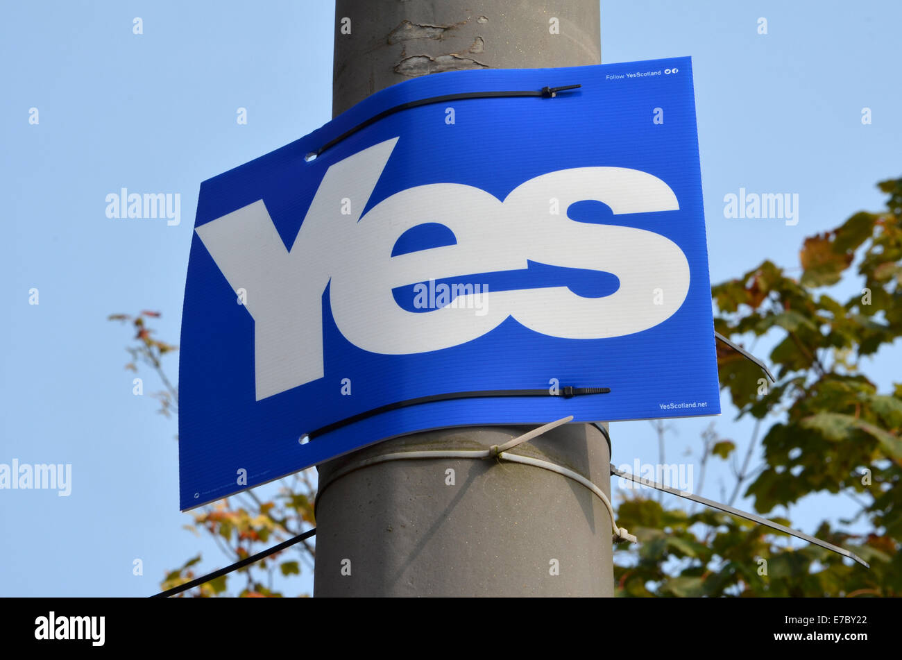YES card on a lamp post on Glasgow Road, Clydebank Stock Photo
