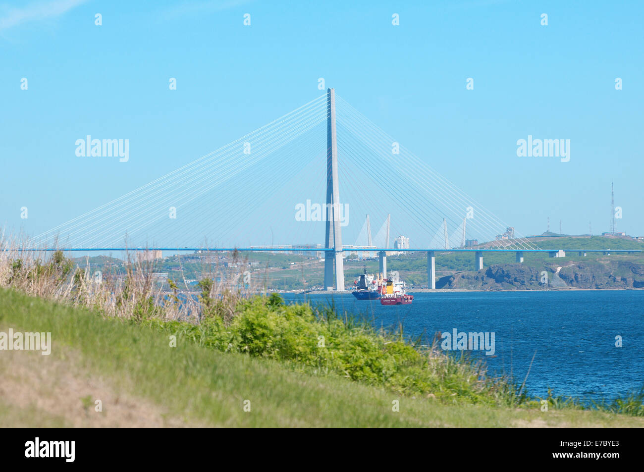 Cable-stayed bridge on the Russky Island, Vladivostok, Sea of Japan ...