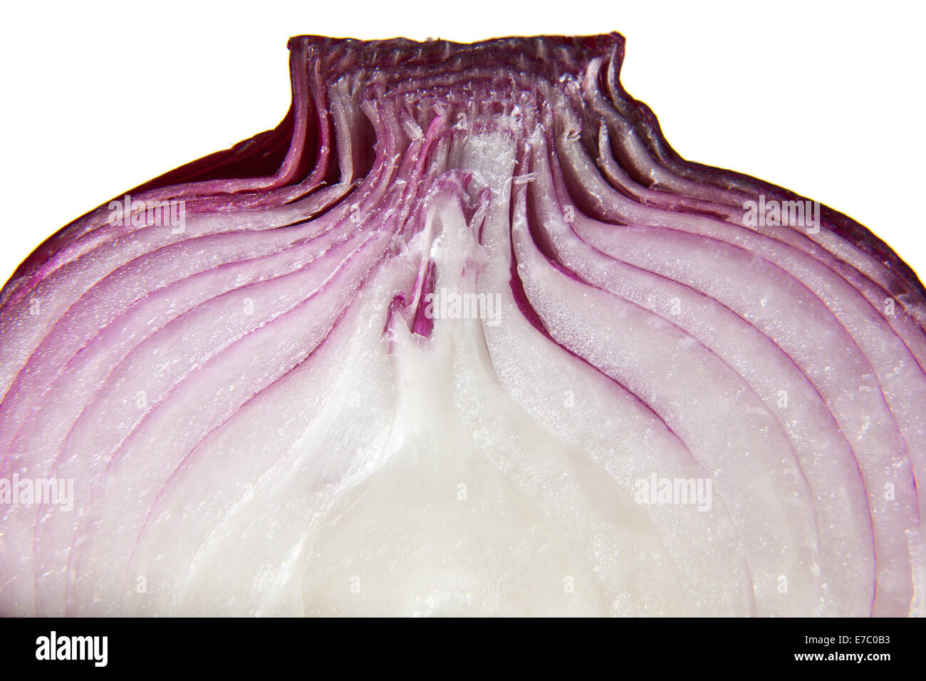 Red onion closeup isolated in white background Stock Photo