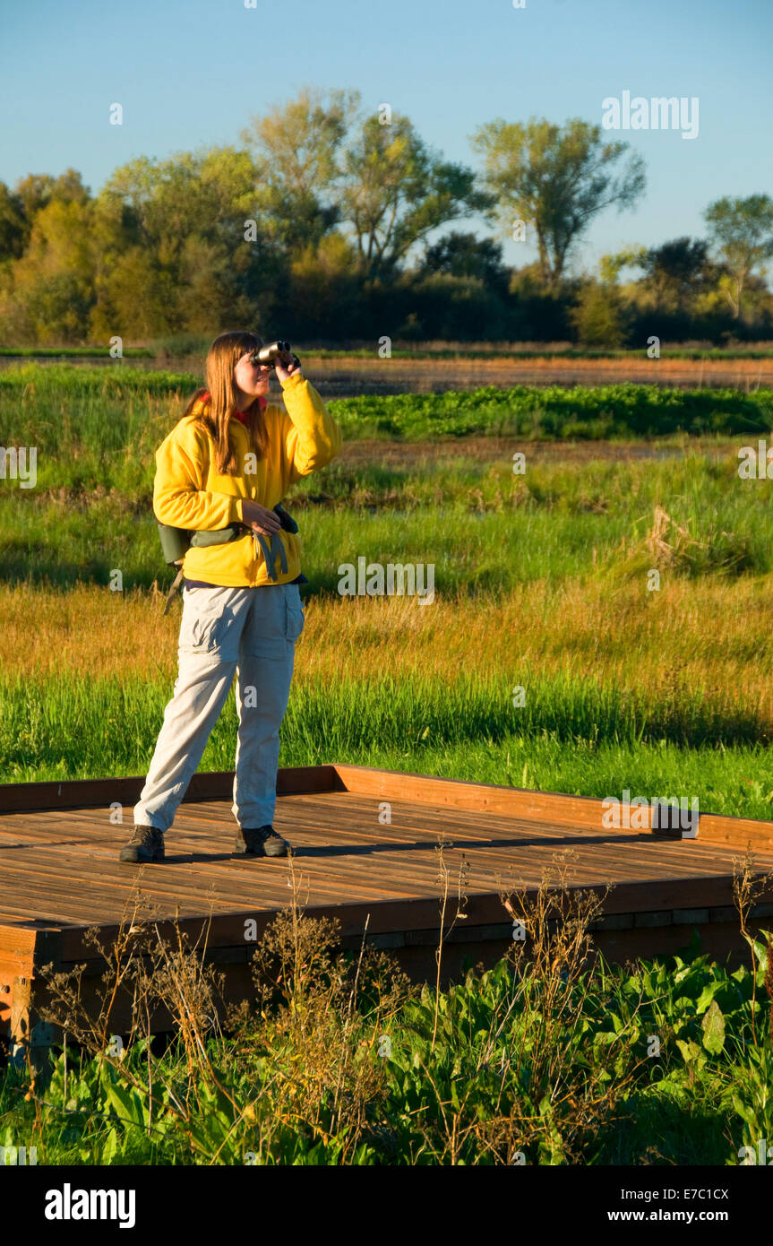 Lost Slough Wetlands Walk observation deck, Cosumnes River Preserve, California Stock Photo