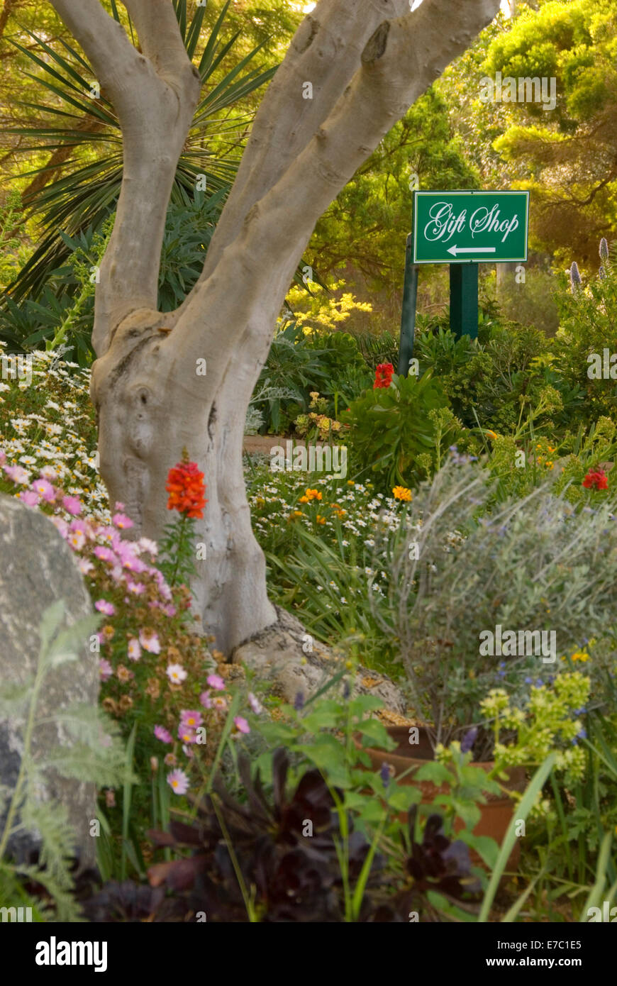 Entryway landscaping, San Diego Botanic Garden, California Stock Photo
