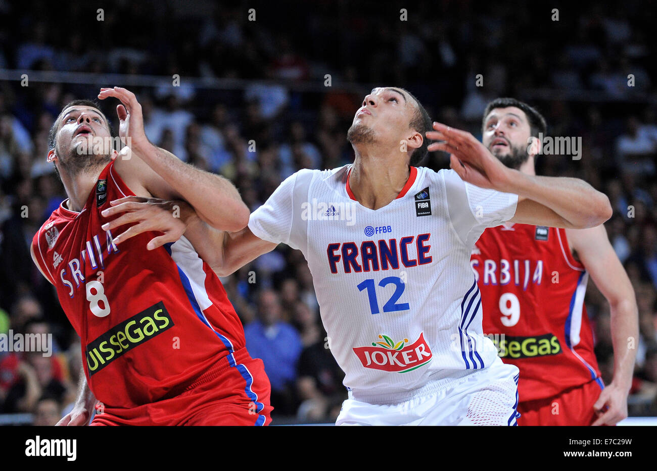 Rudy gobert france hi-res stock photography and images - Alamy