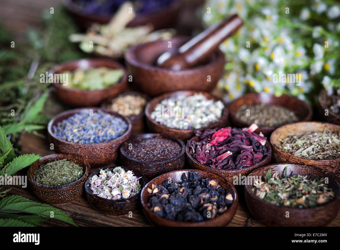 The ancient Chinese medicine, herbs and infusions Stock Photo - Alamy