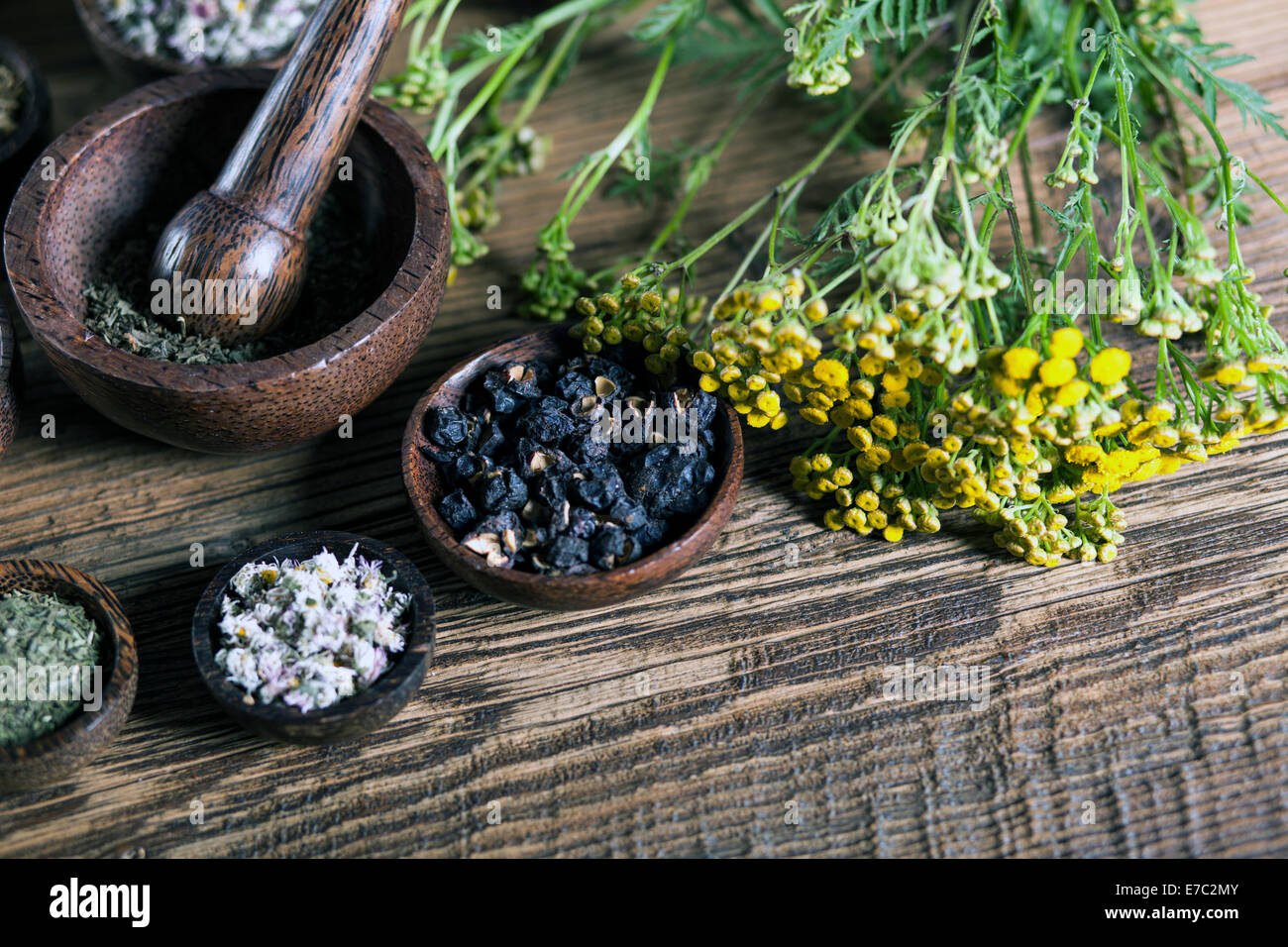 Китайские Лечебные Травы Купить