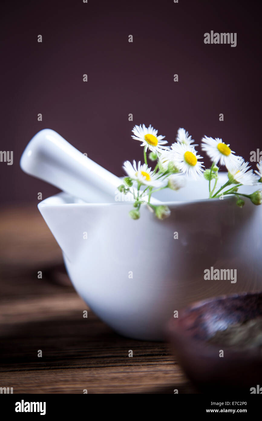 The ancient Chinese medicine, herbs and infusions. Natural flowers