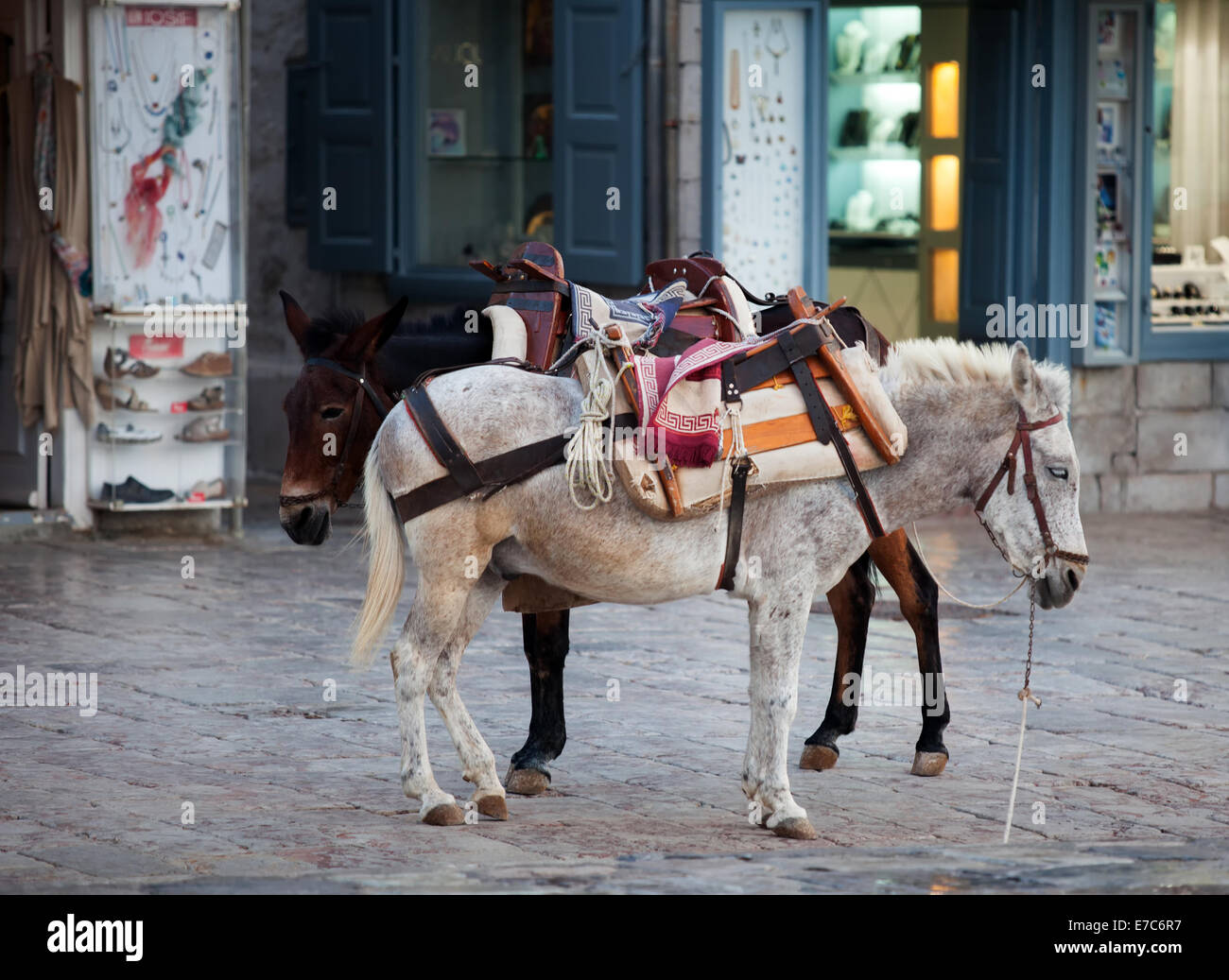 Saddled donkeys, ready to transport people or goods up the steep hillside on the traffic-free island of Hydra, in Greece, wait a Stock Photo