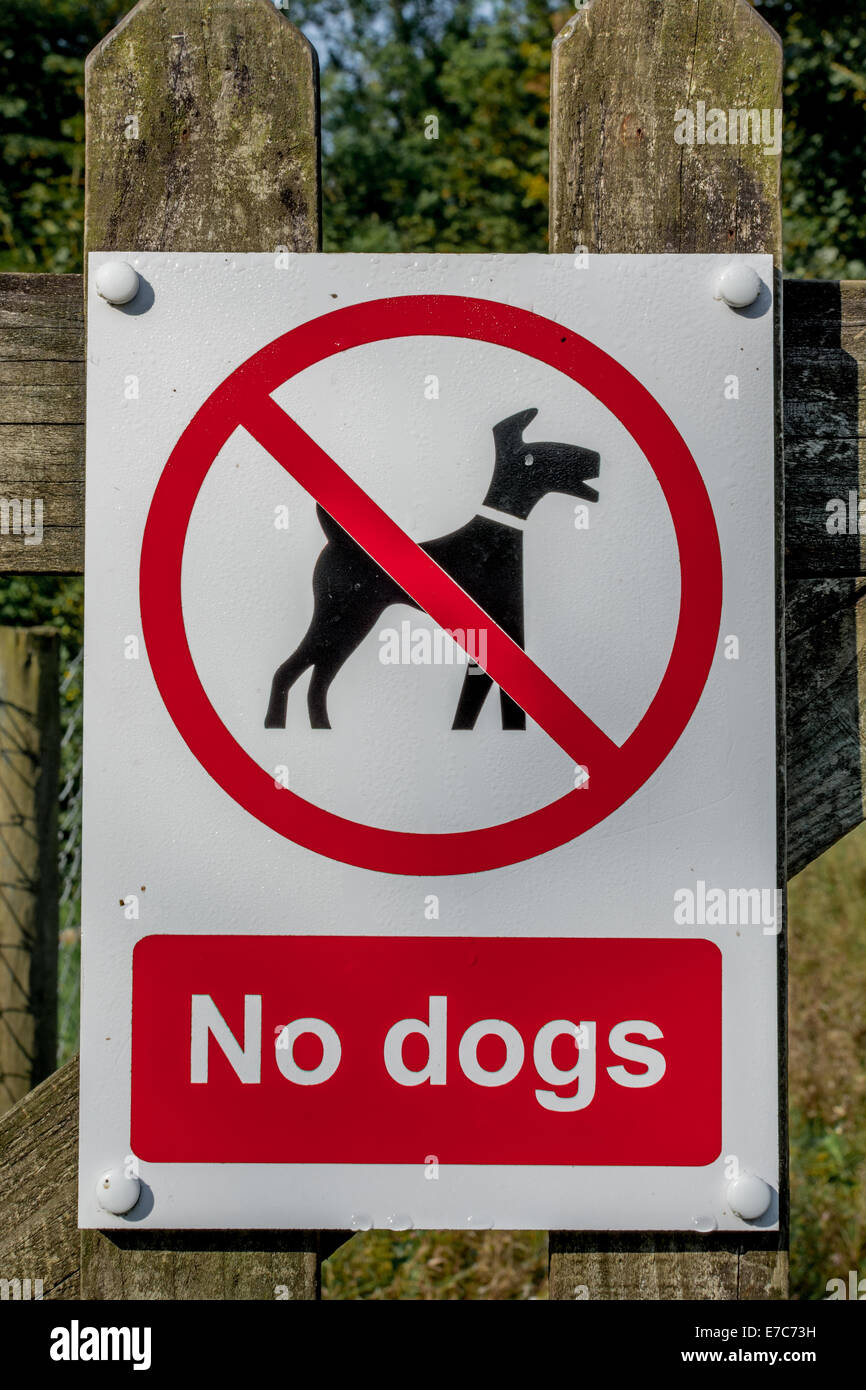 How To Keep Dogs Away From Trees