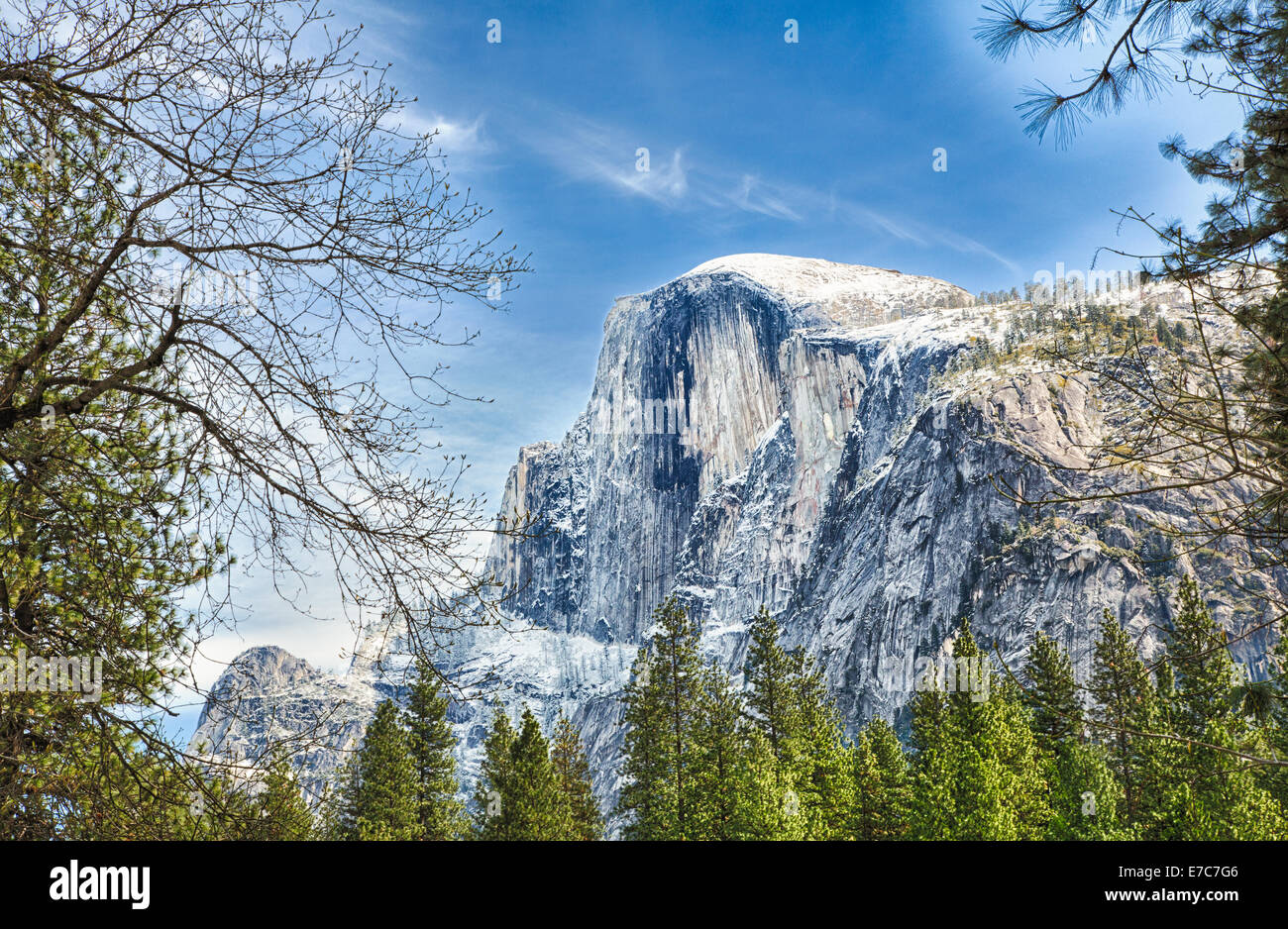 Half Dome peaks above the tree tops as seen from the valley below. Yosemite National Park, California. Stock Photo