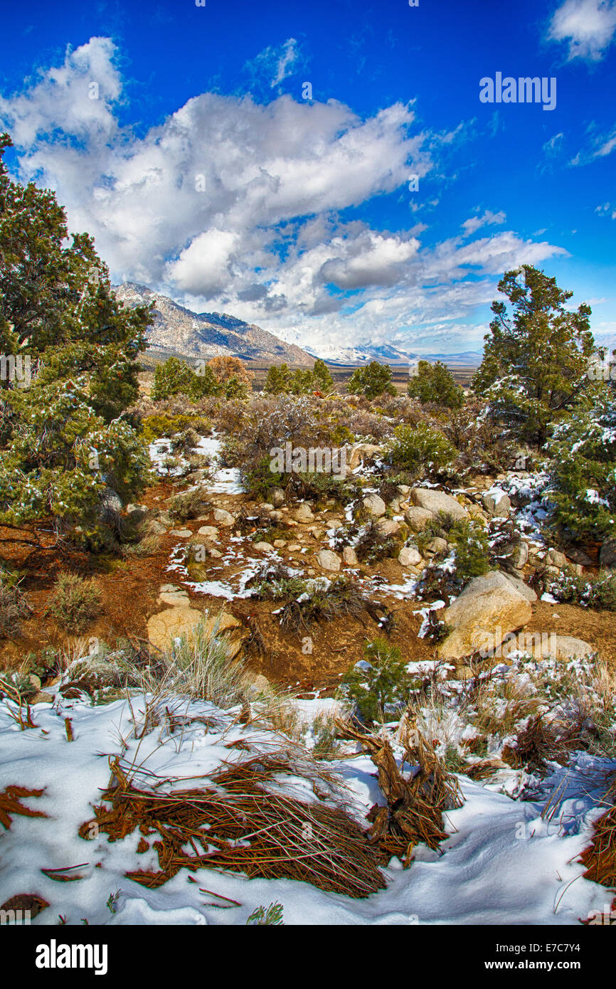Spring snow in the Eastern Sierra Nevada Mountain Range. California, USA Stock Photo