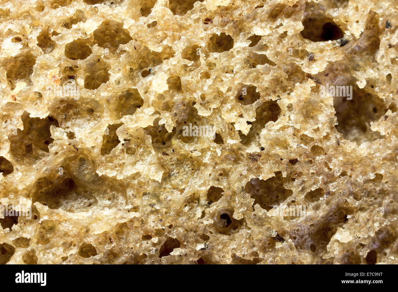 Background bread dough pasta closeup texture Stock Photo Alamy