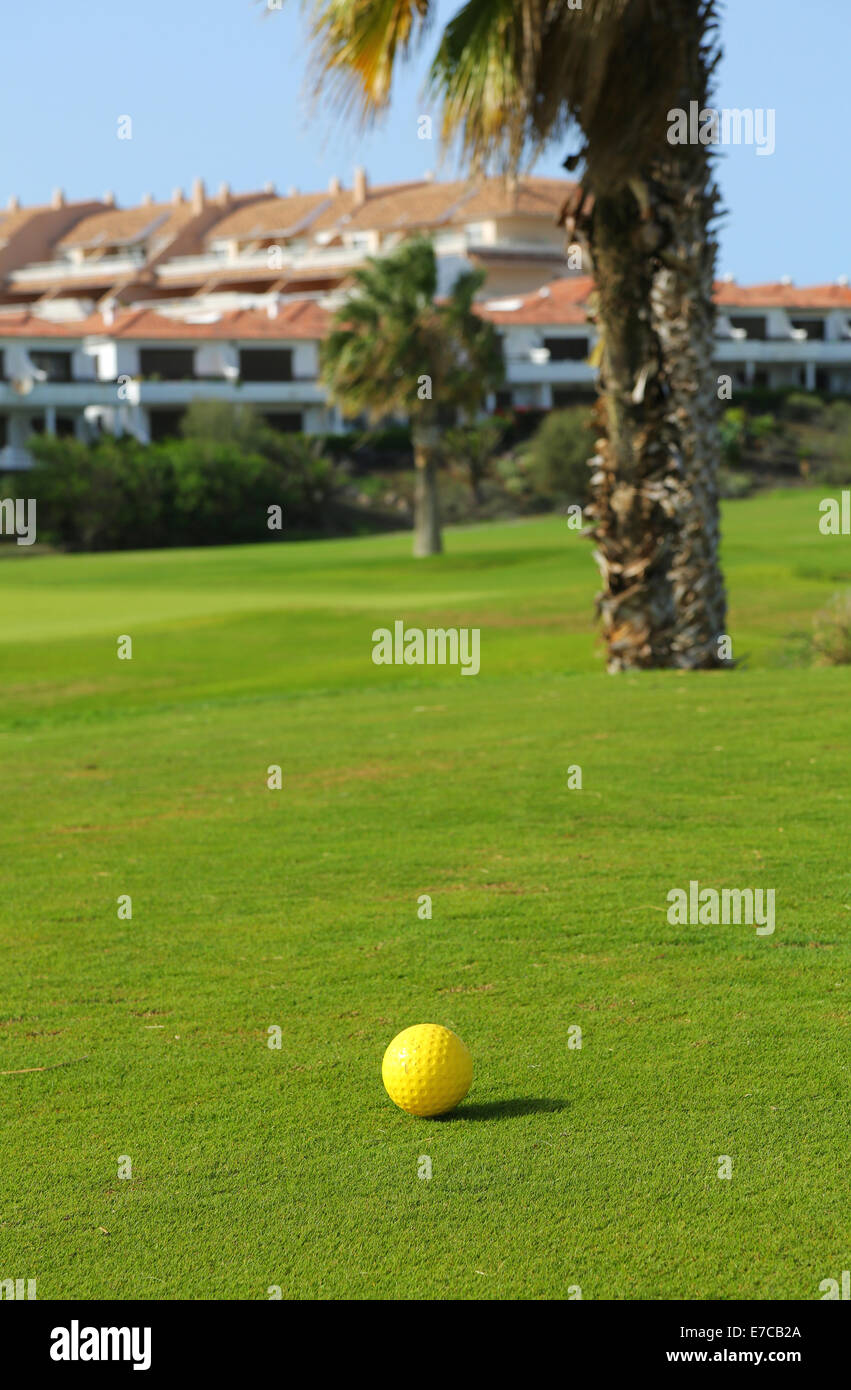 Golf ball on the green Stock Photo Alamy