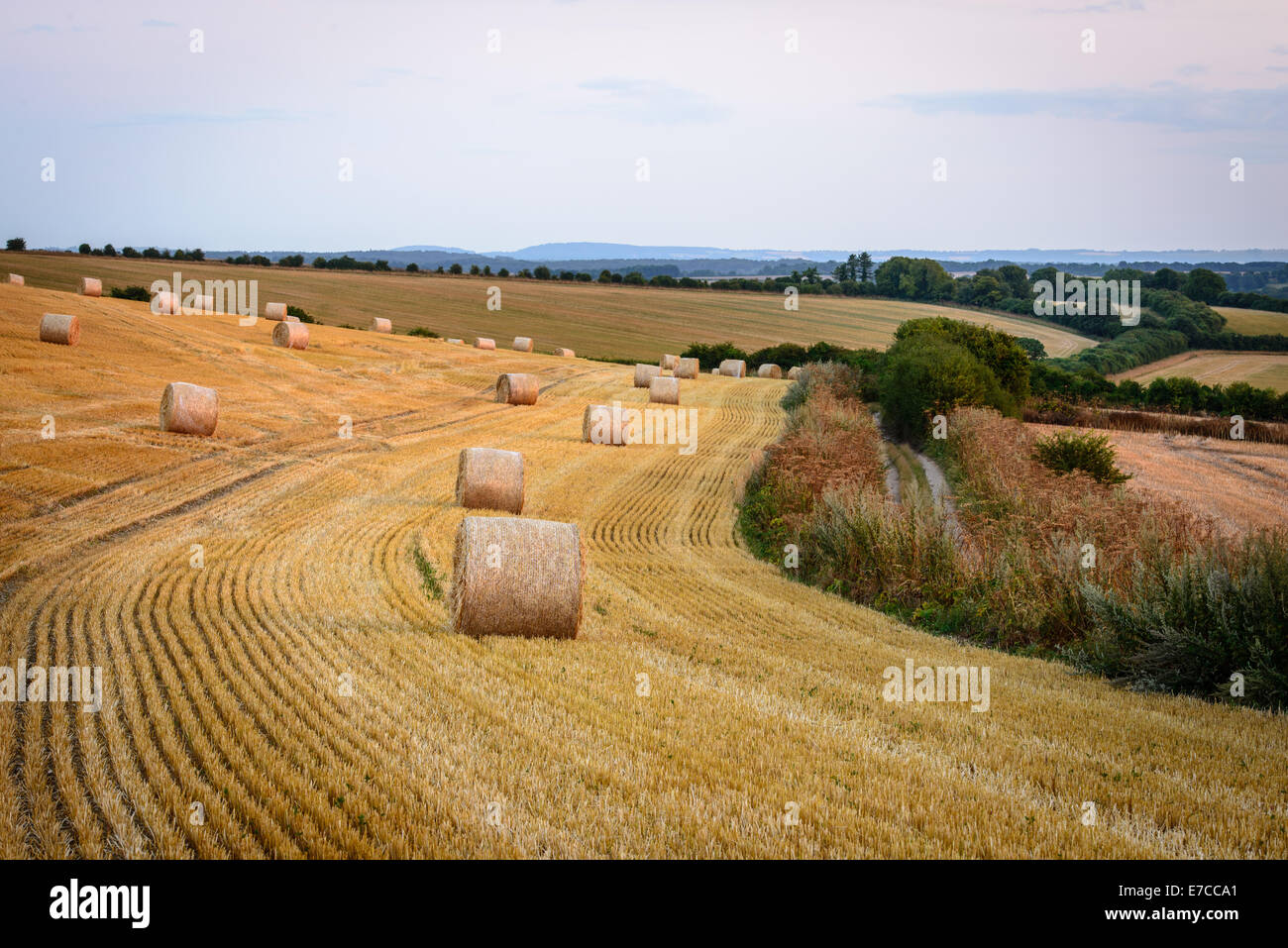 Ancient ridgeway hi-res stock photography and images - Alamy