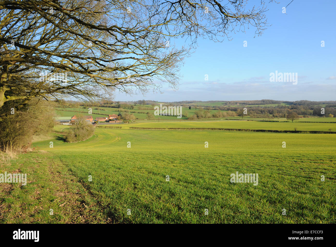 Spring Farm Land and Gently Rolling Hills near the Warwickshire village
