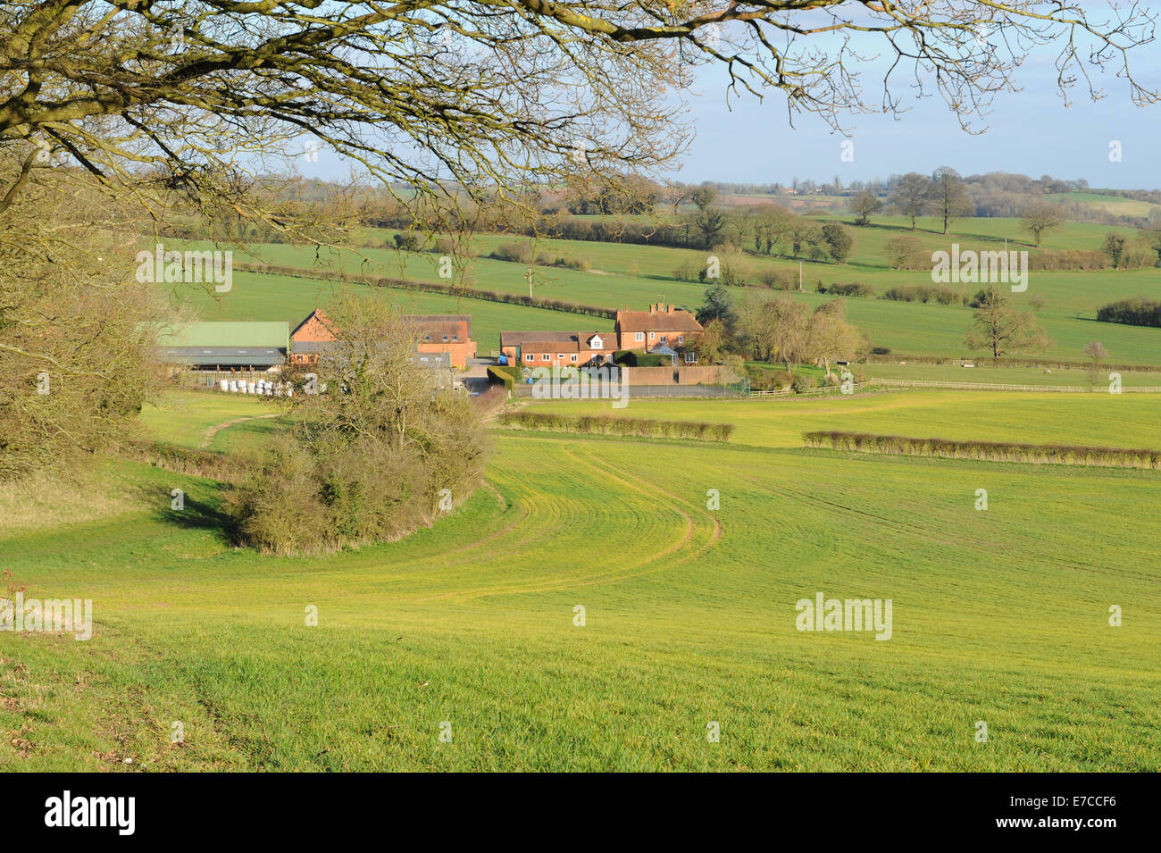 Spring Farm Land and Gently Rolling Hills near the Warwickshire village