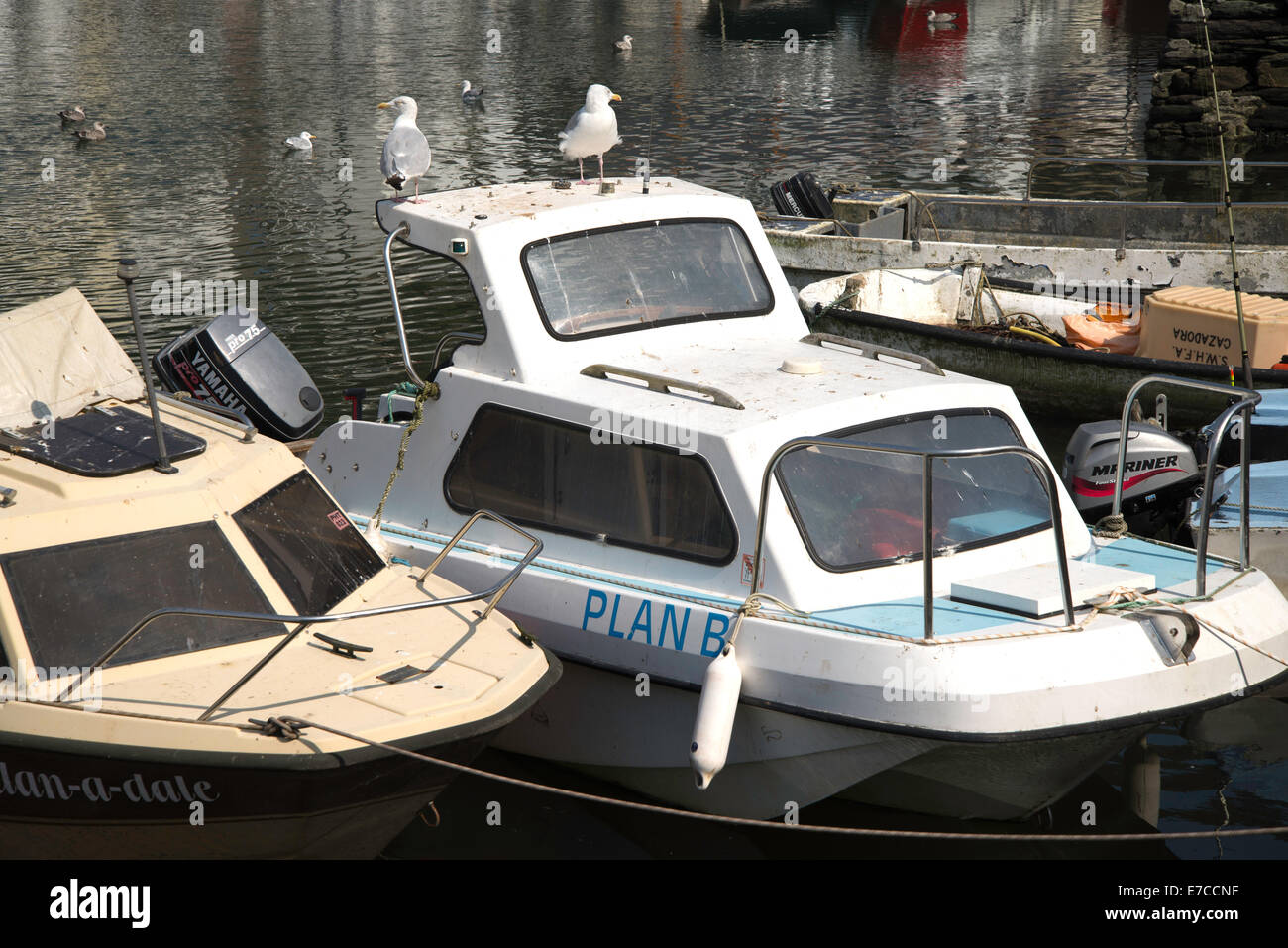 Boat named Plan B with seagulls on roof Stock Photo