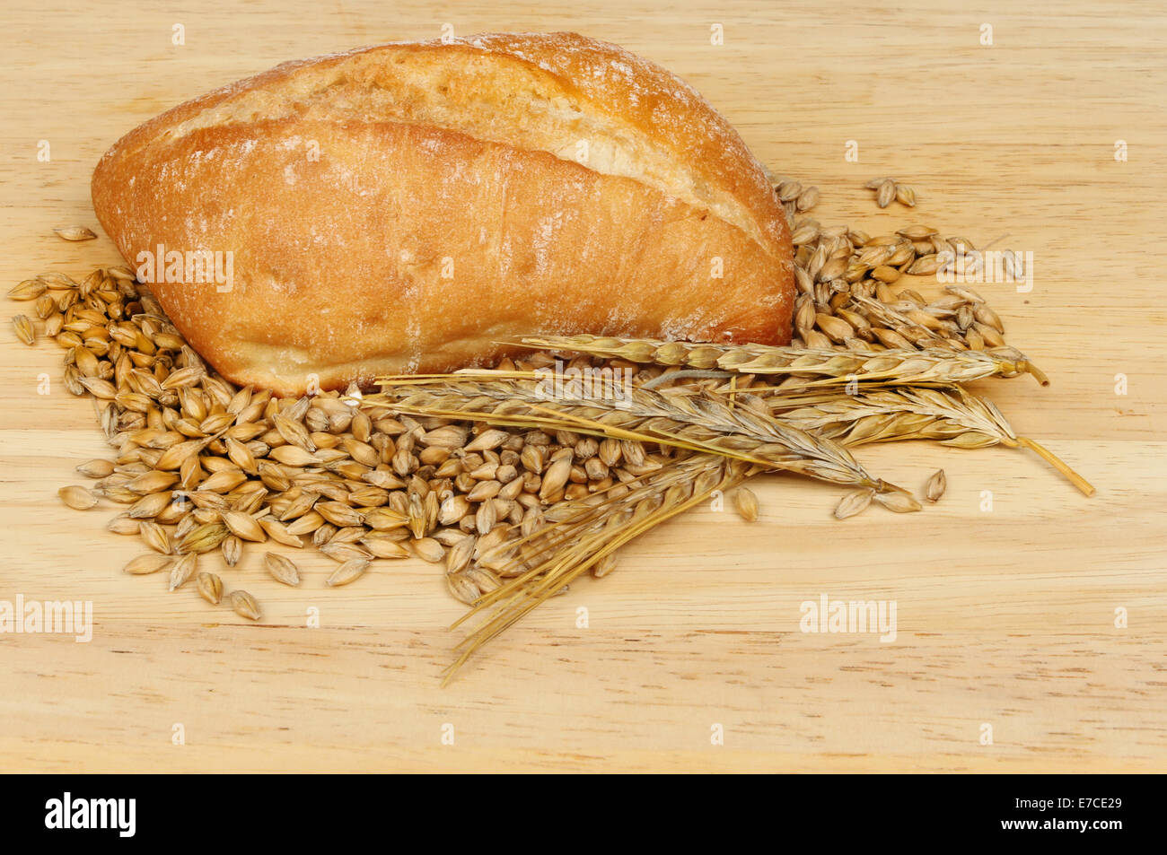 Ciabatta bread roll with ears and grains of barley on a wooden board Stock Photo