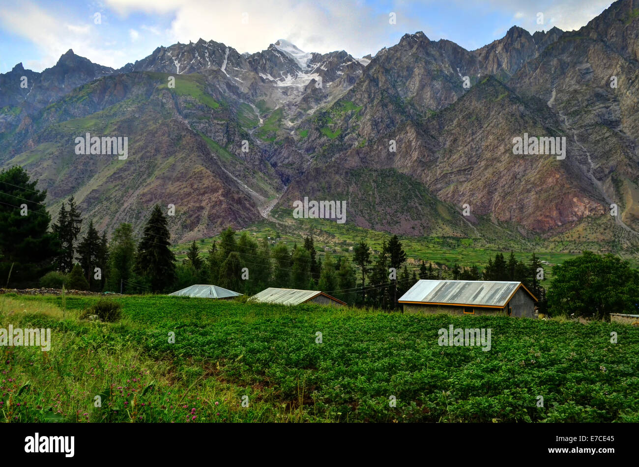 Naltar Valley, Gilget Baltistan, Northern Areas, Pakistan Stock Photo
