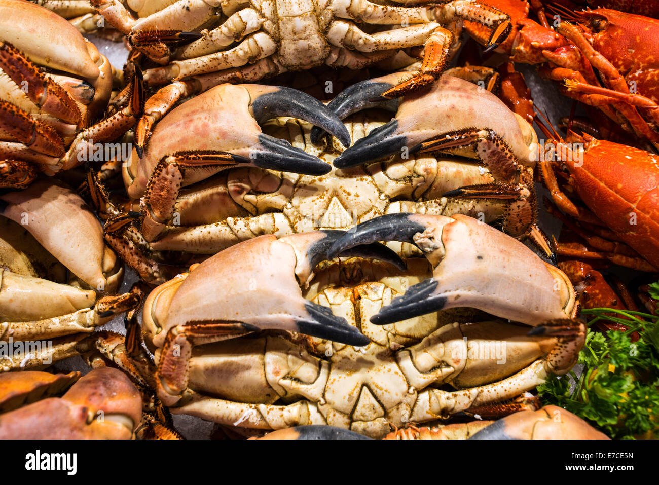 Seafood for sale in Trouville fish market in Normandy France Stock Photo