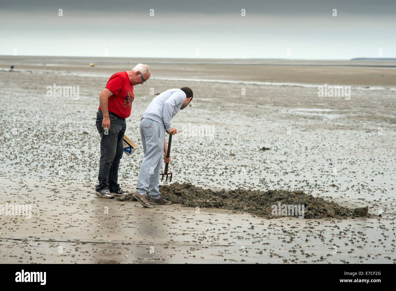 fishermen digging a live earthworms for use as fishing bait Stock Photo Alamy