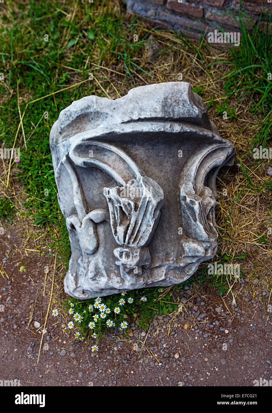 Detail of a broken piece of architecture, Ancient Roman (Italy). Flowers sprouting at the bottom. Stock Photo