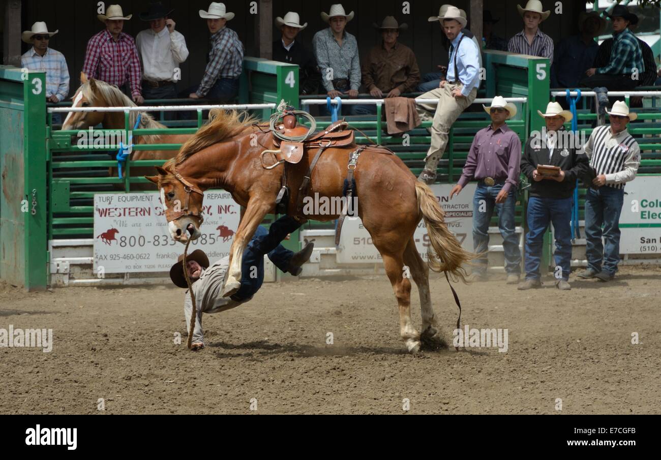 The Rowell Ranch Rodeo, Castro Valley CA Stock Photo Alamy