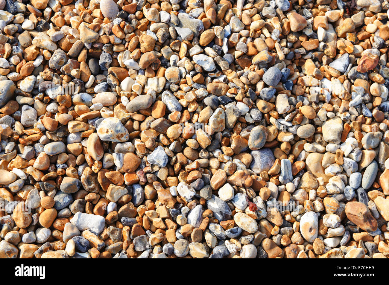 Pebbles on a shingle beach in Seaford UK Stock Photo