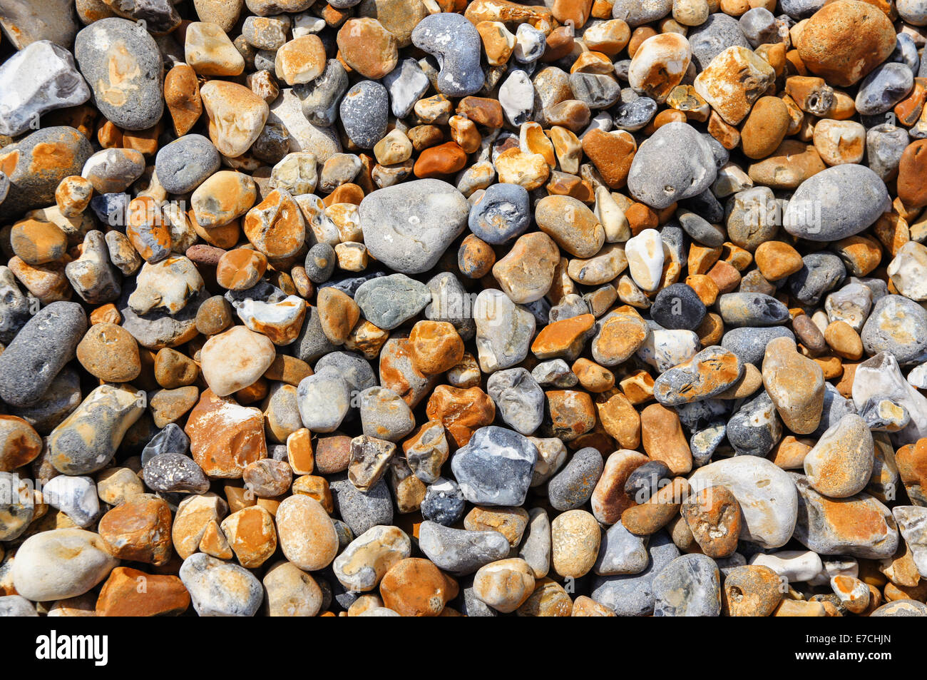 Pebbles on a shingle beach Stock Photo