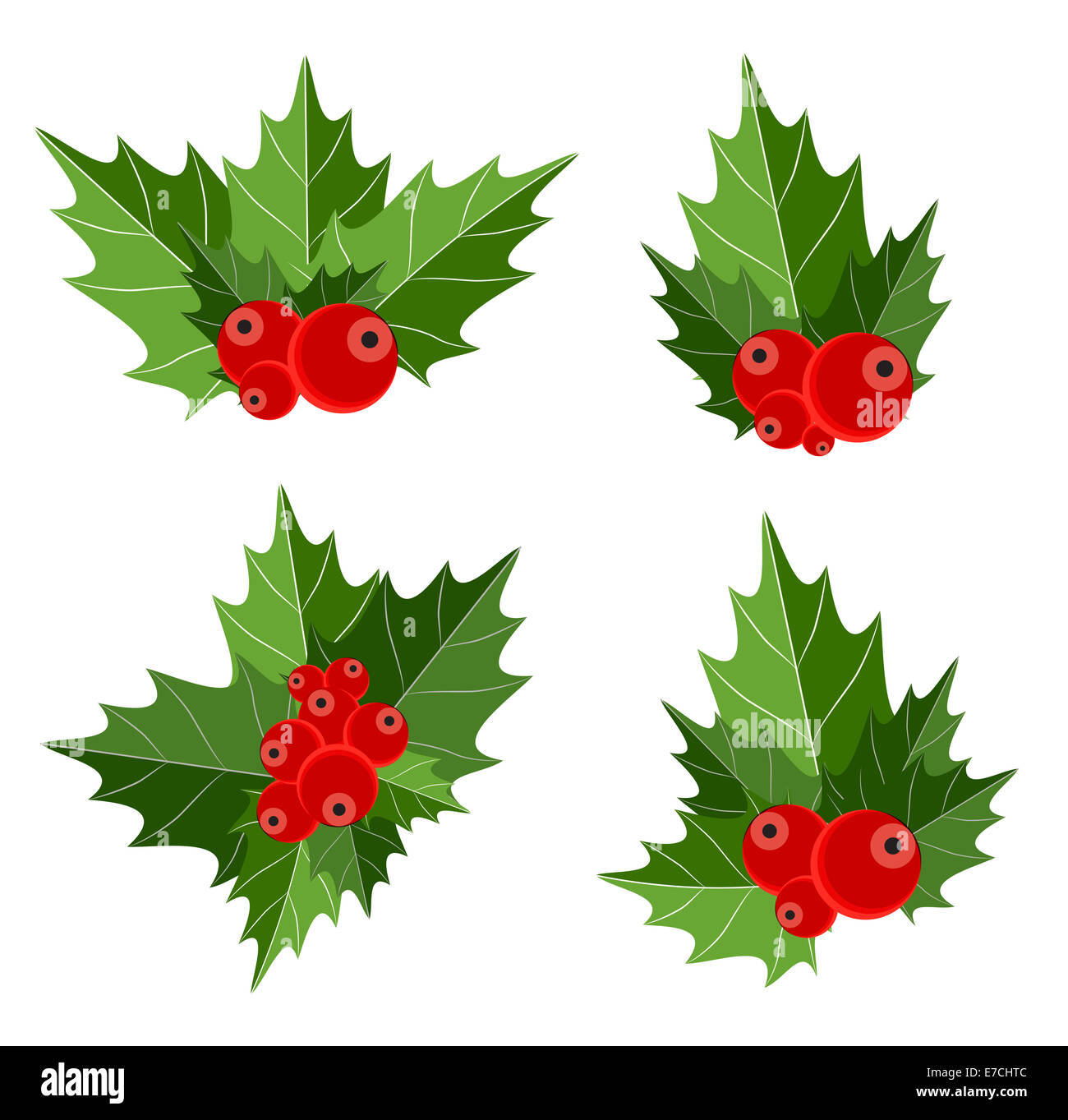 Christmas Berry Sign Vector Illustration Stock Photo - Alamy