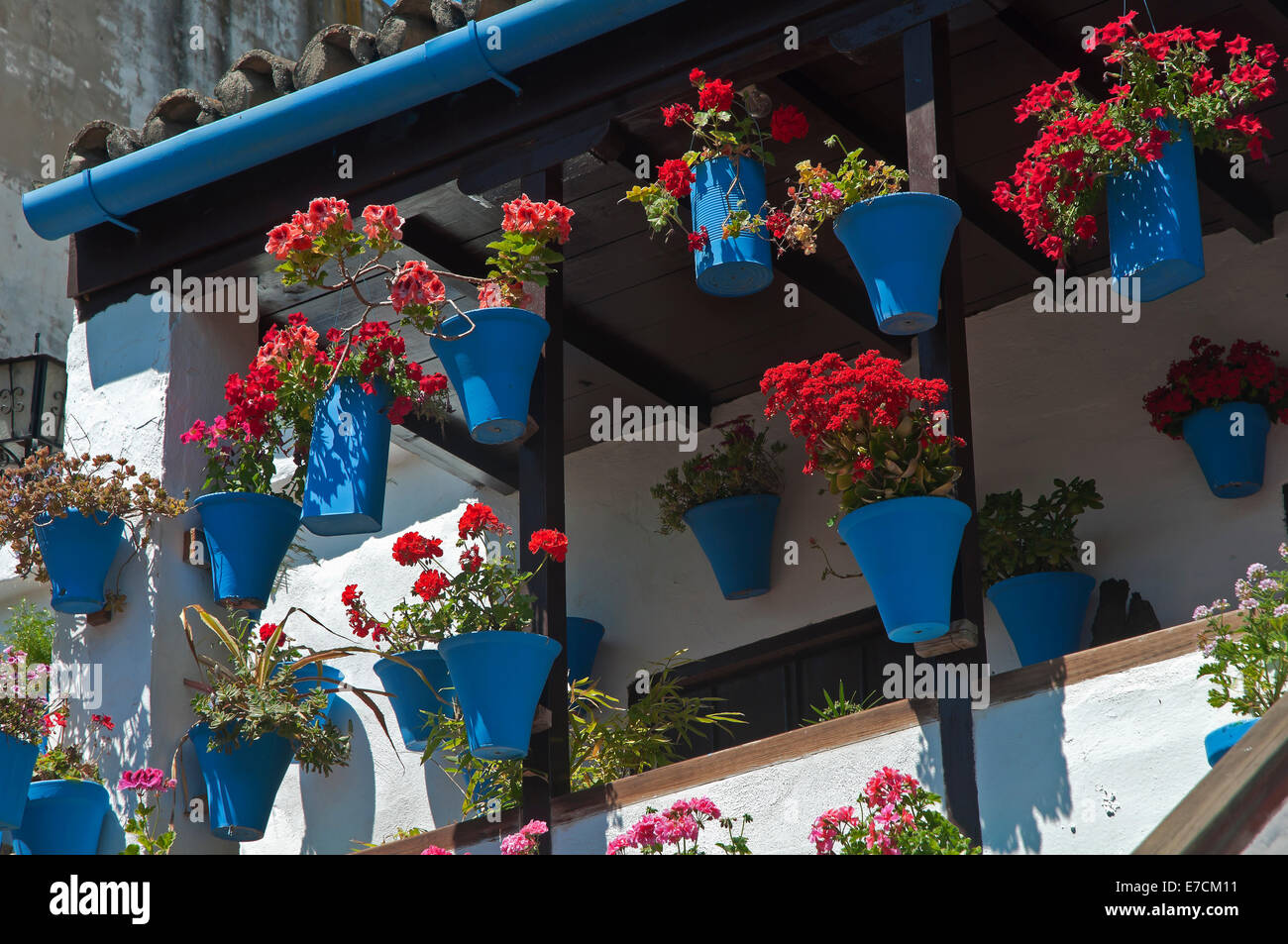 Typical courtyard -flowerpots, Cordoba, Region of Andalusia, Spain, Europe Stock Photo