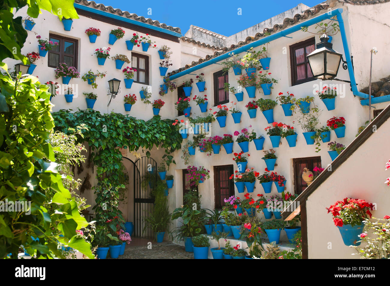 Typical courtyard -flowerpots, Cordoba, Region of Andalusia, Spain, Europe Stock Photo