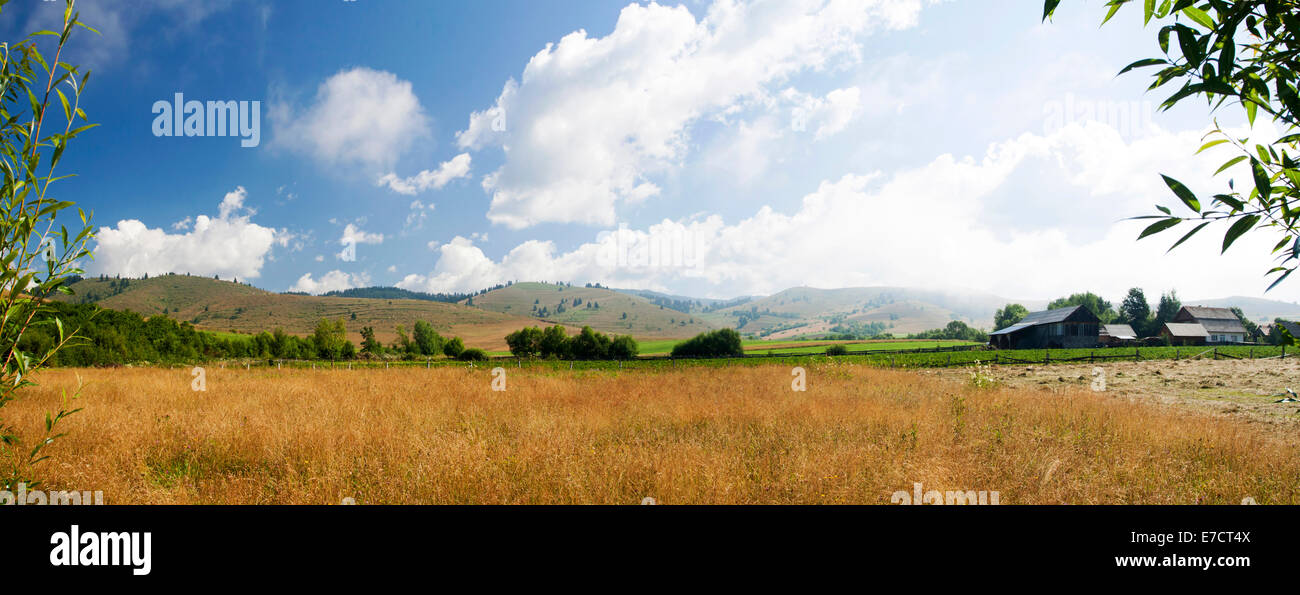 Field and blue sky - rural panoramic landscape Stock Photo - Alamy