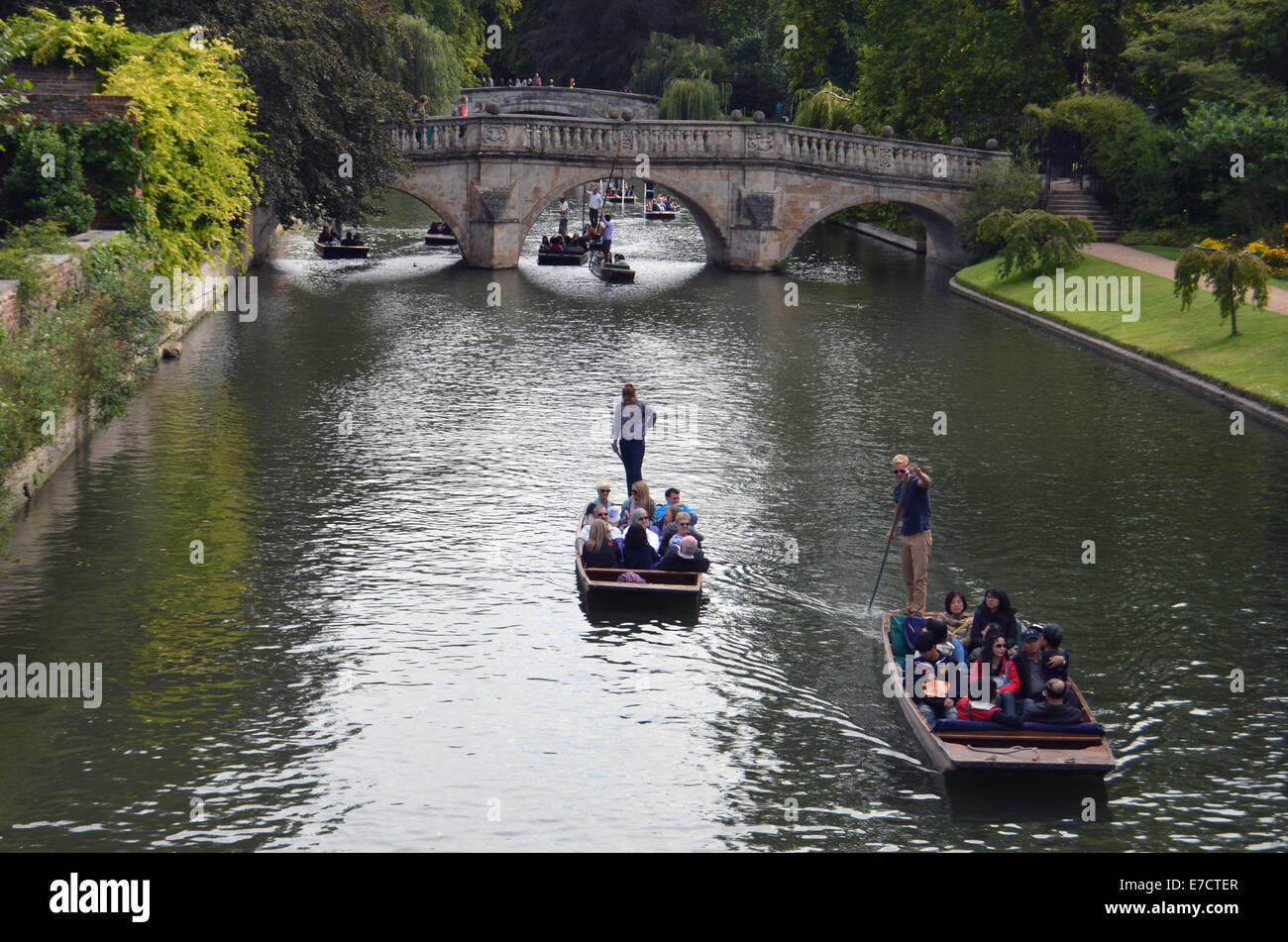 Punting in Cambridge August 2014 UK Stock Photo