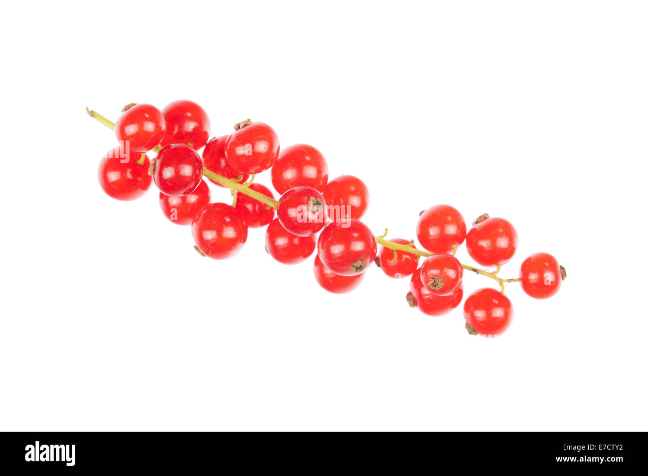 Redcurrants Stock Photo
