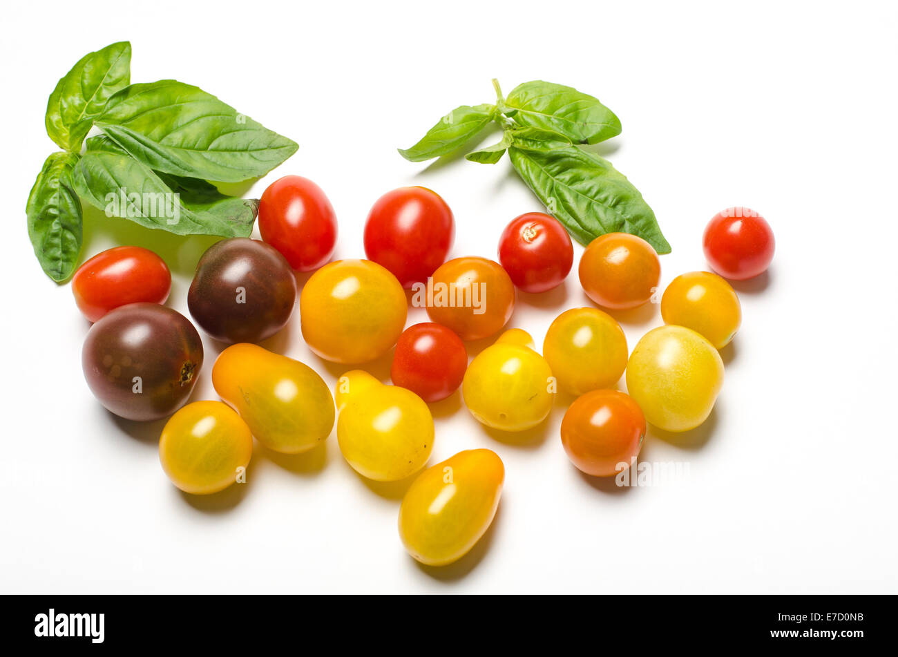 Whole heirloom cherry tomatoes and basil leaves on white background ...