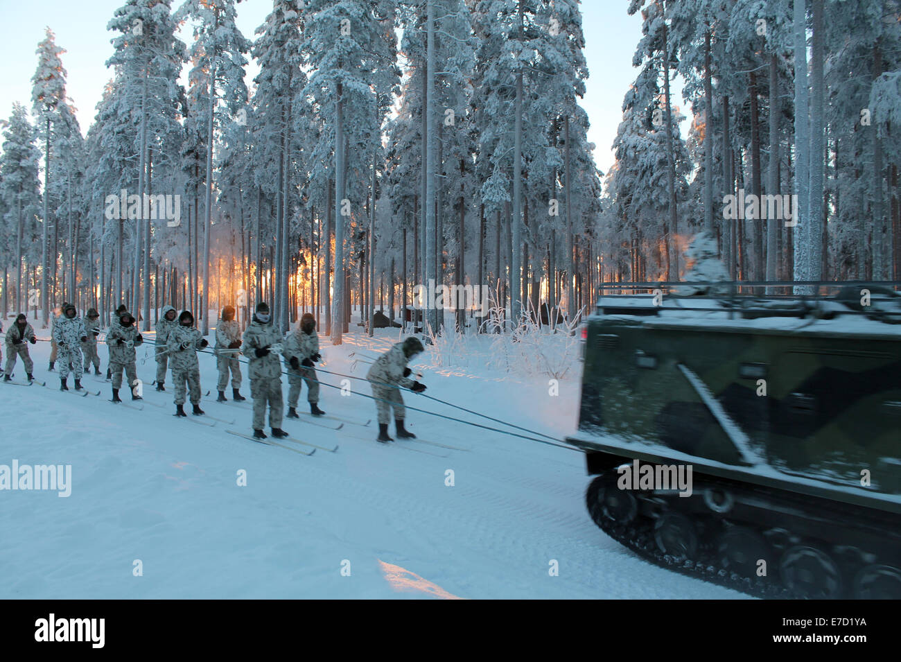Soldiers pulled behind a truck on skies in Finland Stock Photo