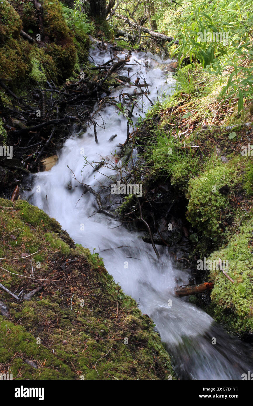 A small stream of water in Lapland, Finland Stock Photo