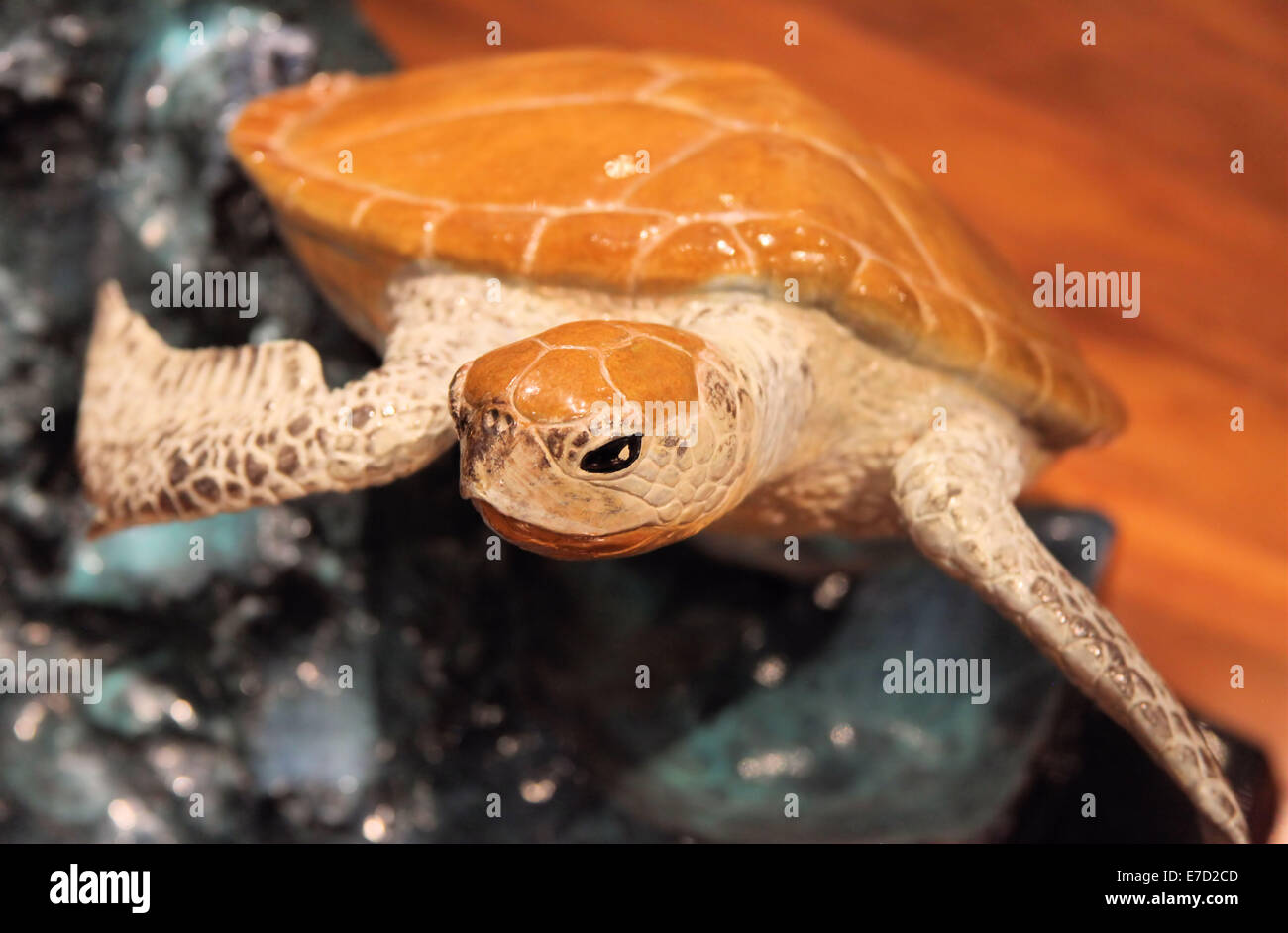 Sea turtle sculpture hi-res stock photography and images - Alamy