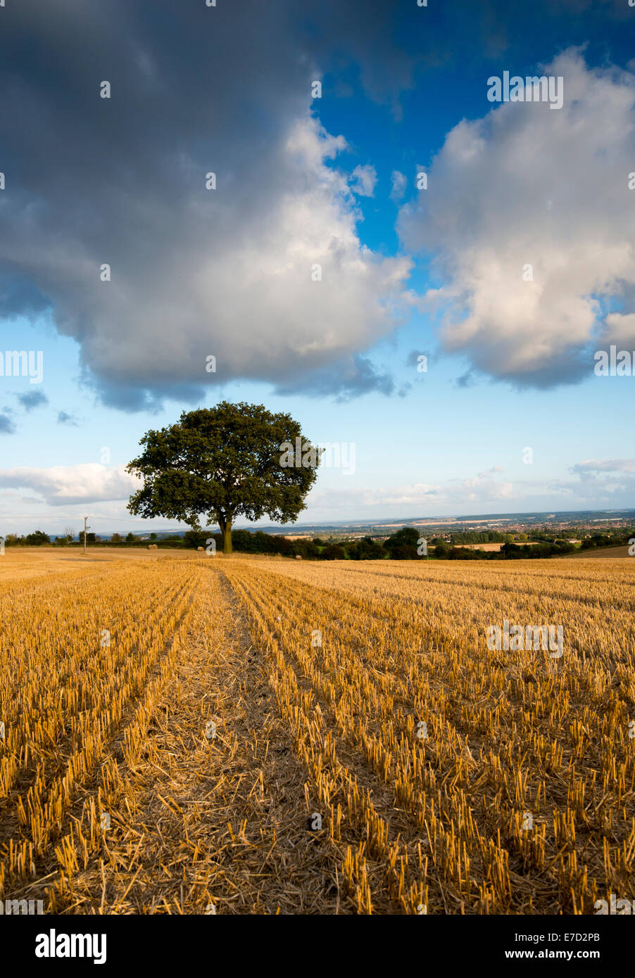 A summers evening at Stanton by Dale, Derbyshire England UK Stock Photo