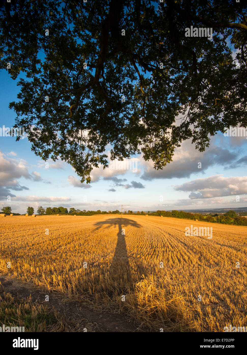 A summers evening at Stanton by Dale, Derbyshire England UK Stock Photo