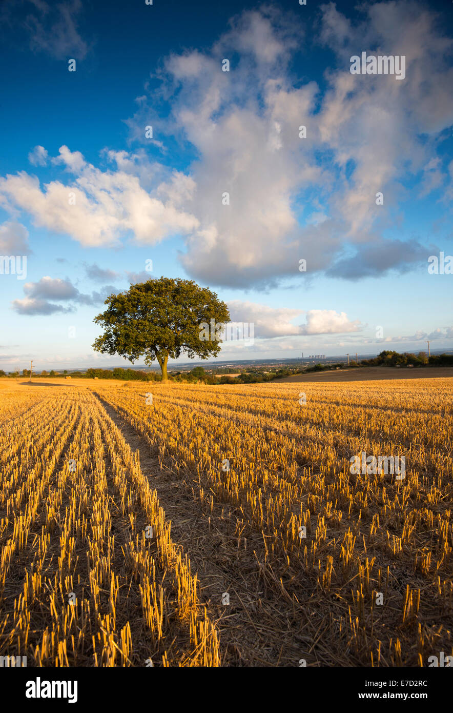 A summers evening at Stanton by Dale, Derbyshire England UK Stock Photo