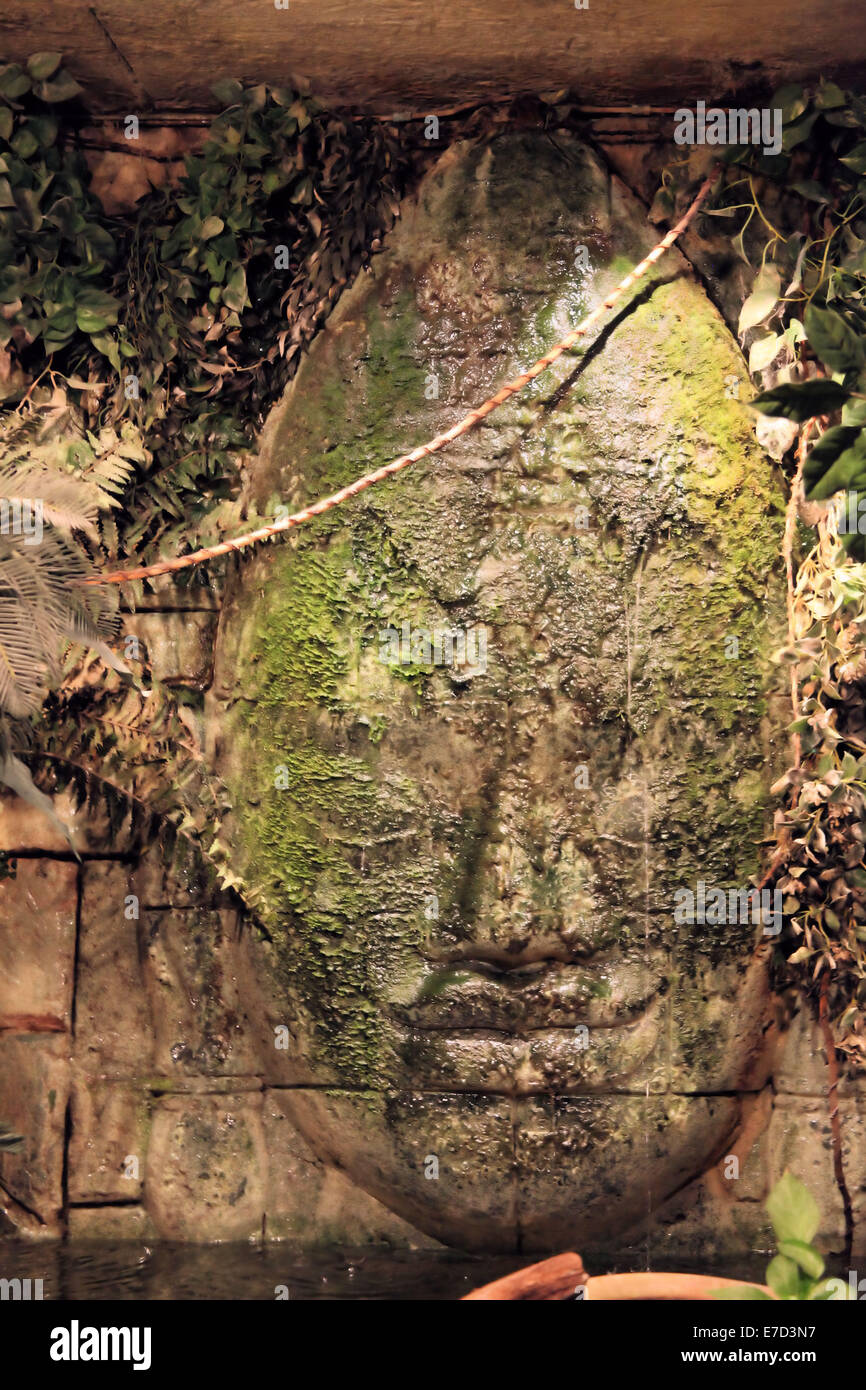 Mayan Wall Art Sculptured Stock Photo Alamy